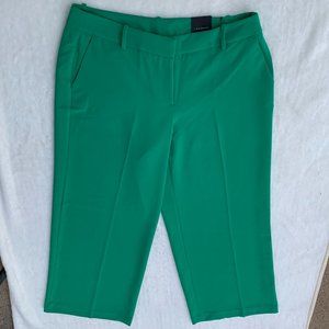 NWT Lane Bryant Infinite Stretch Wide Leg Trouser